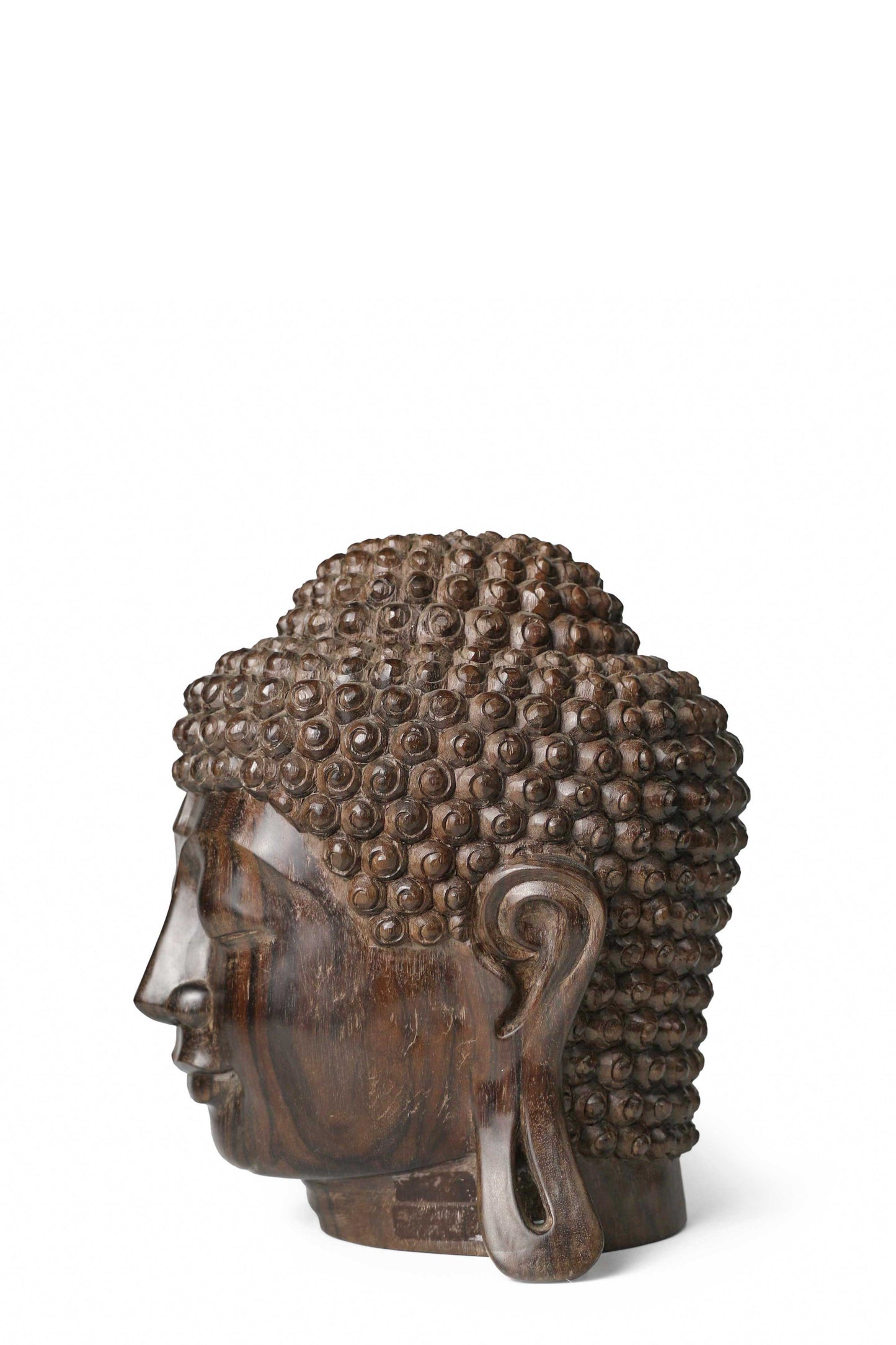 Buddha Head