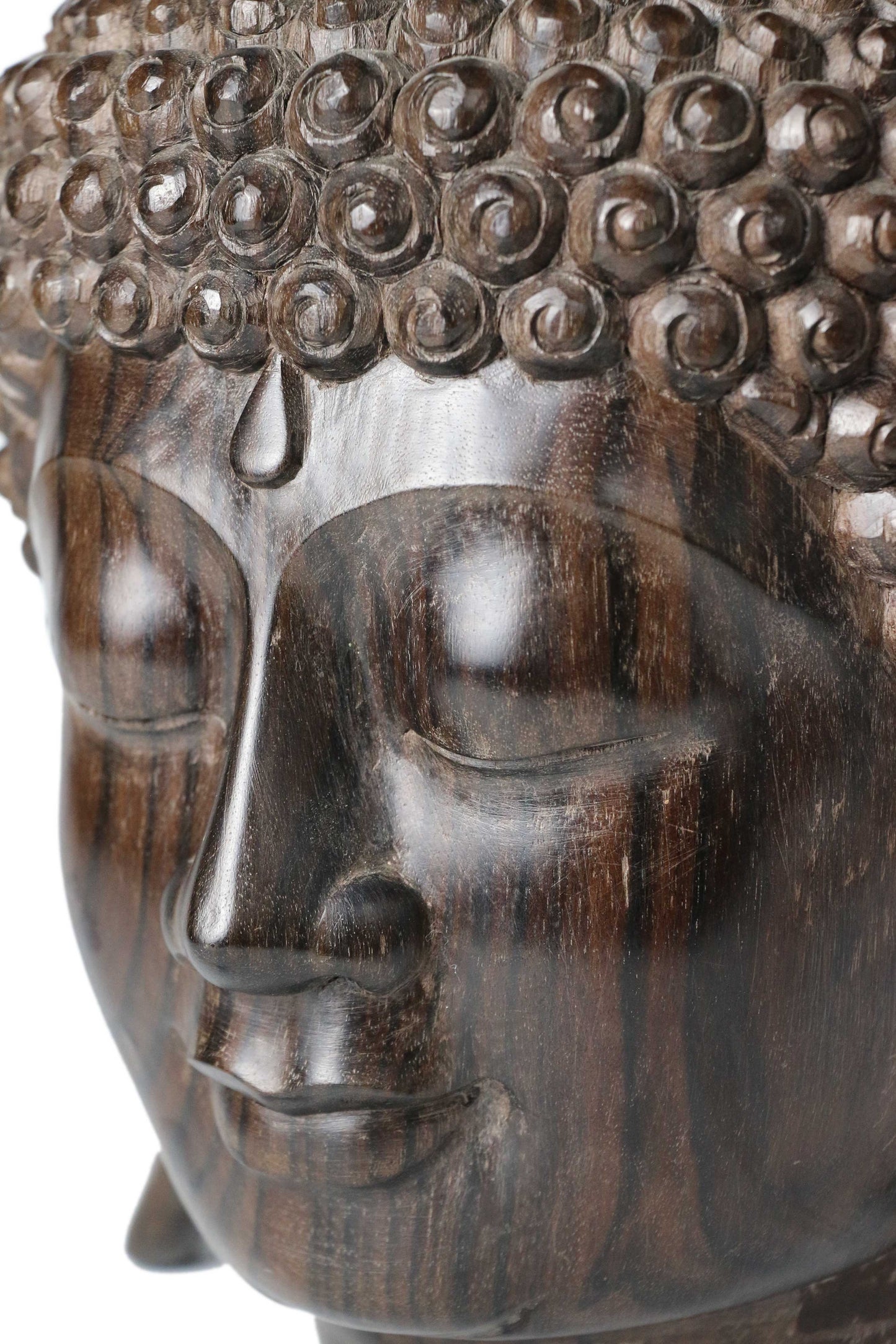 Buddha Head