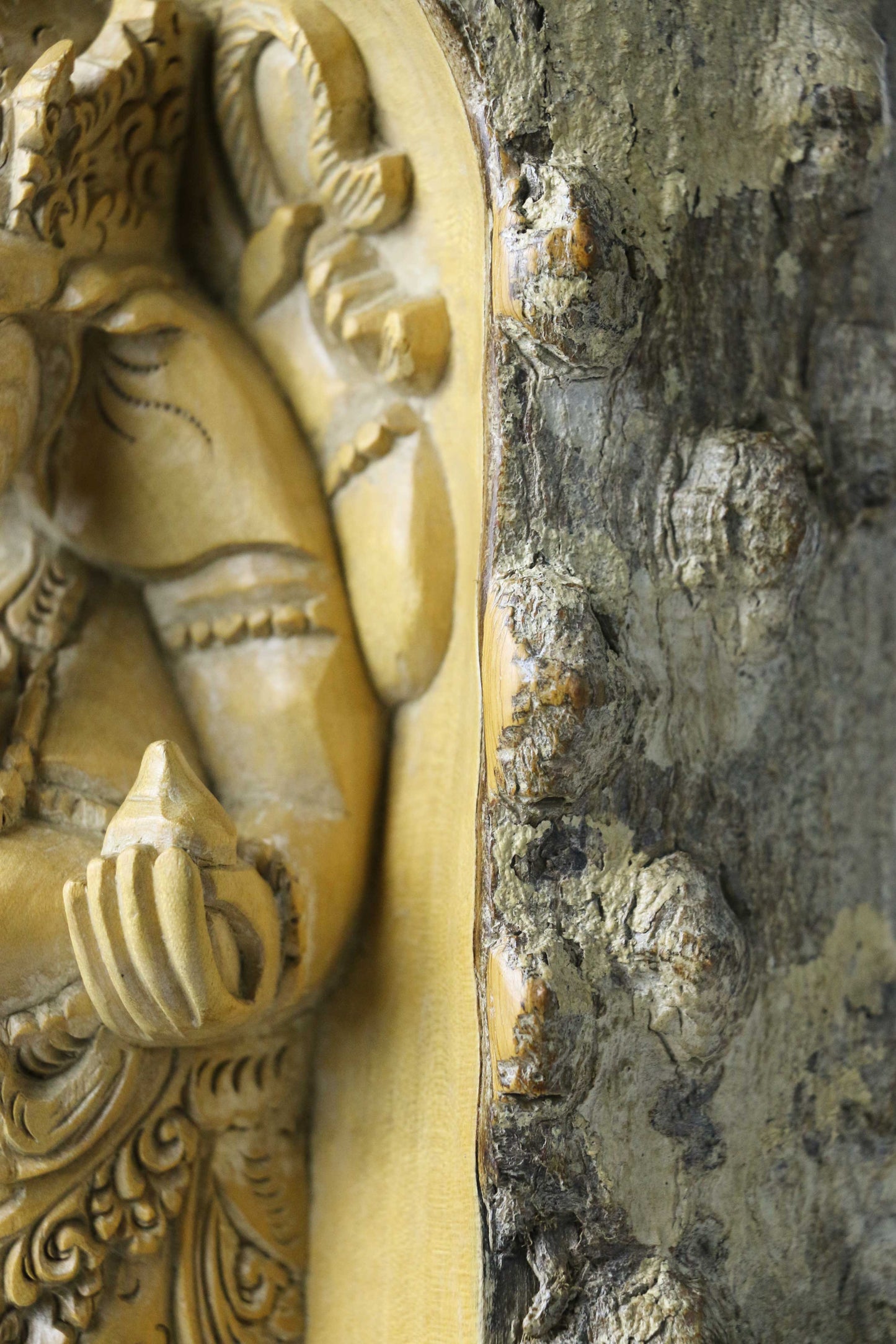 Crocodile Bark Ganesha